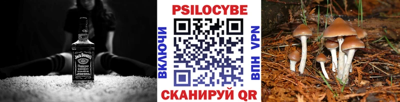 hydra онион  где купить наркотик  Ялта  Галлюциногенные грибы Psilocybe 
