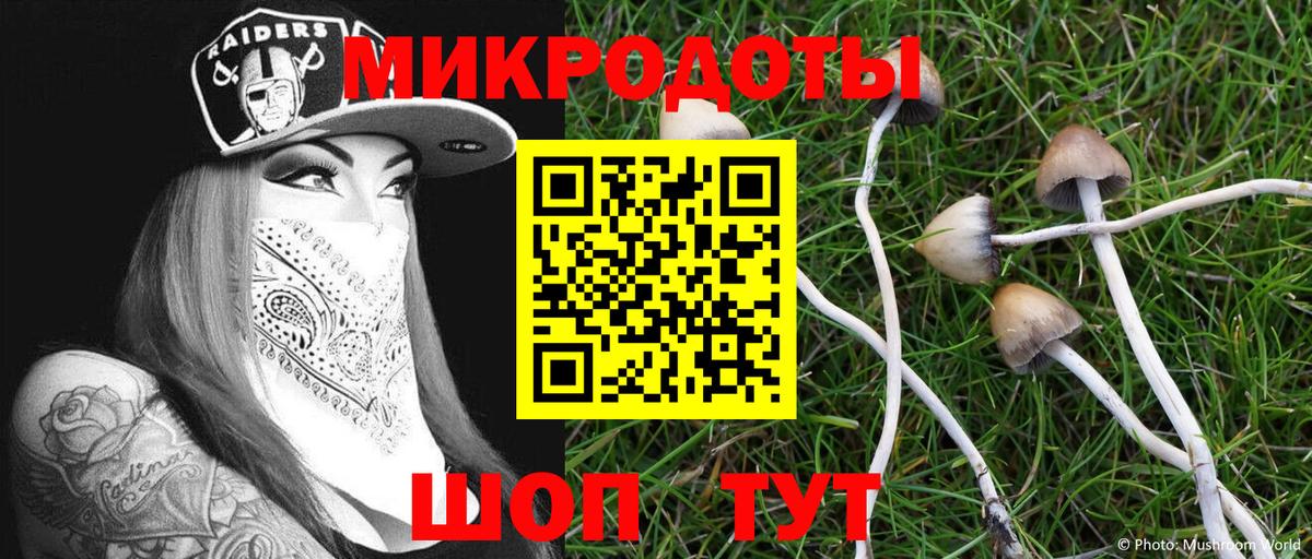 Ялта  наркошоп  Вход с VPN  Галлюциногенные грибы Cubensis 